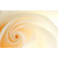 White 9