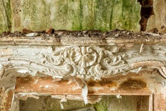 "disMantle", color photograph, architecture, fireplace, abandoned, ivory, green