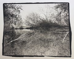 "Perception 1", Paesaggio contemporaneo, Zona umida, Fotografia in bianco e nero