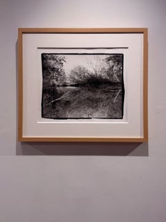 „Perception 1“, zeitgenössische Landschaft, Feuchtgebiet, Schwarz-Weiß-Fotografie