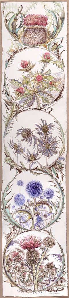 "Tread Ye Lightly", Contemporaneo, Botanico, Cardo, Disegno a inchiostro e acquerello
