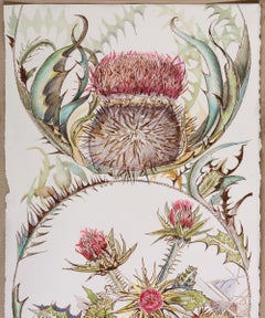 "Tread Ye Lightly", Contemporaneo, Botanico, Cardo, Disegno a inchiostro e acquerello