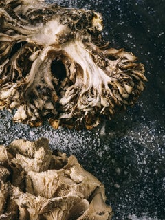 "Funghi e sale", Contemporanea, Natura morta, Stampa digitale, Fotografia a colori