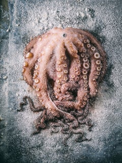 „Octoprine“, Zeitgenössisch, Stillleben, Krake, Lebensmittel, Rosa, Farbfotografie