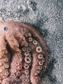 „Octoprine“, Zeitgenössisch, Stillleben, Krake, Lebensmittel, Rosa, Farbfotografie