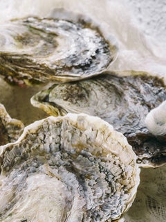 "Oyster", Contemporary, Still-life, Weathered Shells, Color Photograph