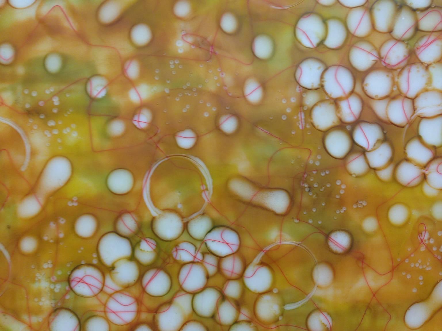 « Bio Fusion 9 », abstrait, microscopique, jaune, orange, vert, encaustique, pastel - Painting de Kay Hartung