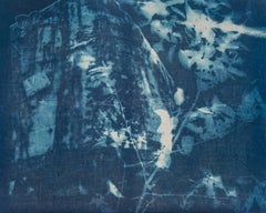 ""Crane 1", contemporary, landscape, linen, blue, cyanotype, photograph