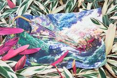 Untitled (Japanese Garden)