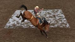 Photograph of Action by Isaac Aden / 'Rodeo Painting (Wyatt Clark)'