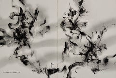 Ink Spirit / Abstract Diptych Painting on Paper by Hooper Dunbar