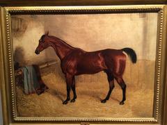 Chestnut Mare in a stable