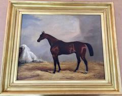 Nutwith, St Leger Winner 1843, English horse in a stable