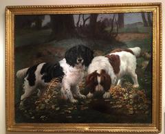 English Spaniel dog's in a landscape
