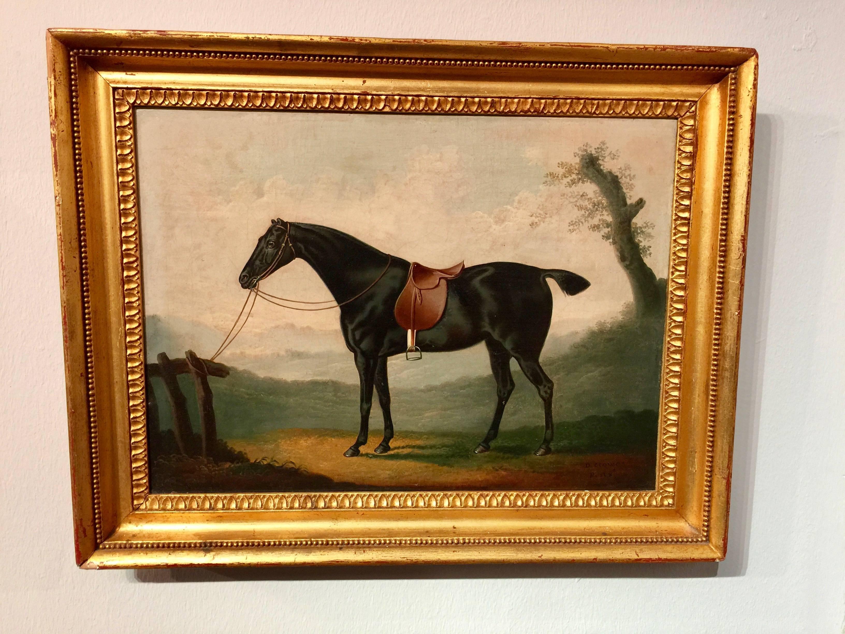 Daniel Clowes Animal Painting - Portrait of an English Horse "Peily", a dark bay hunter tethered to a fence.