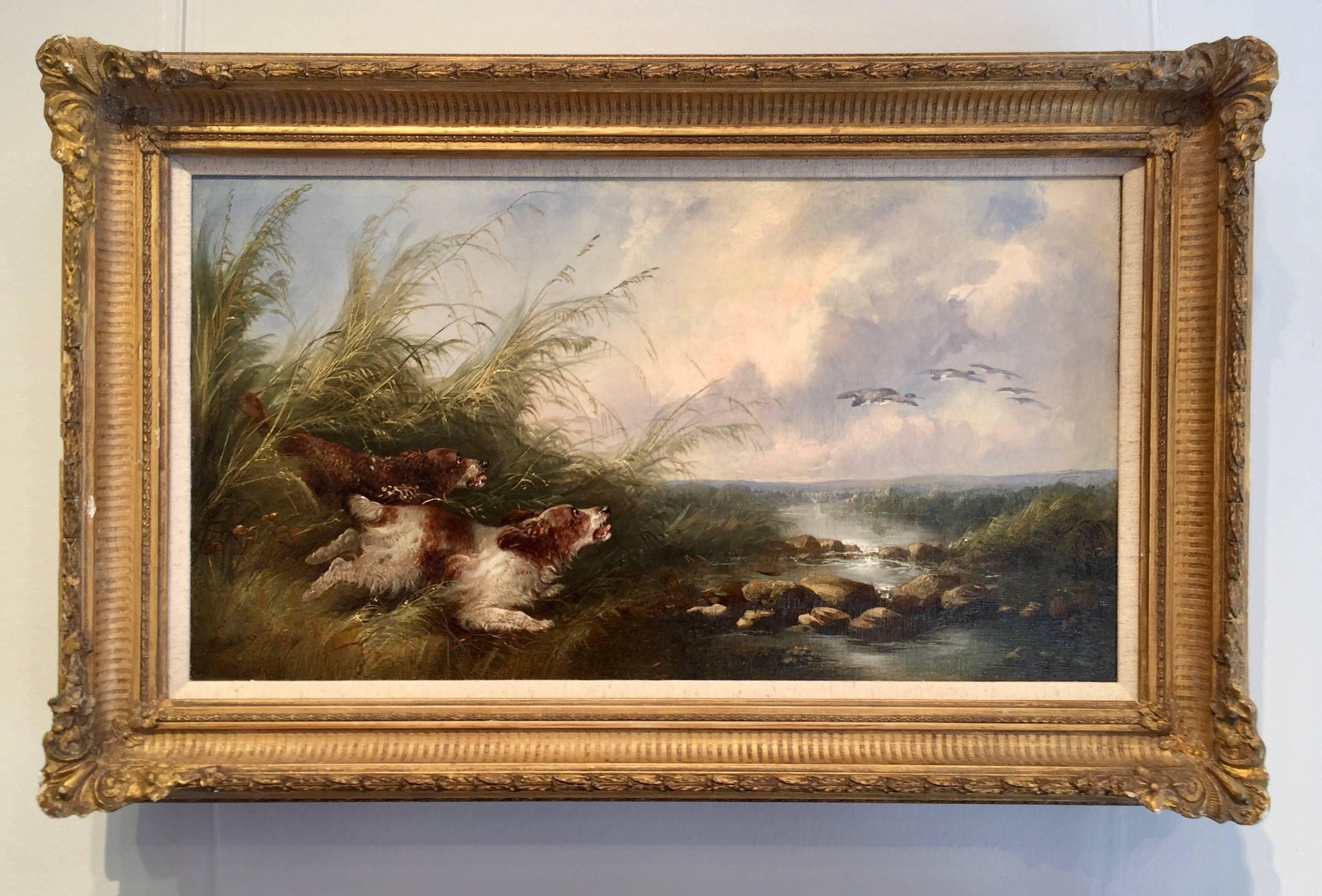 George Armfield Animal Painting - English Spaniel dogs chasing ducks  by a river