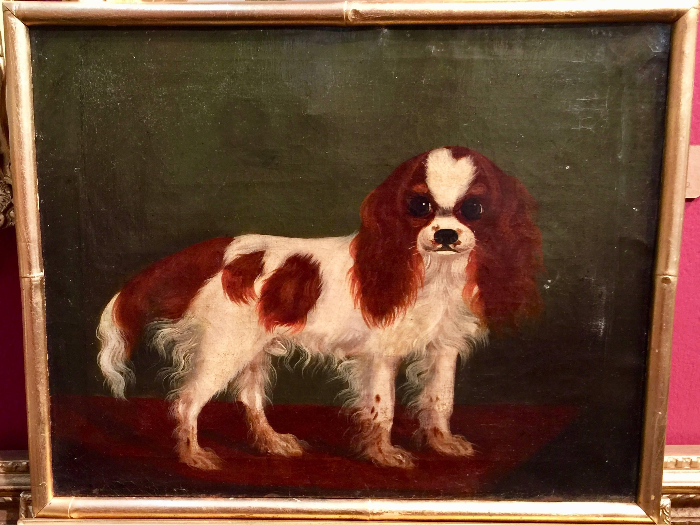 Unknown Animal Painting - Wonderful English 19th century Folk Art King Charles Cavalier Spaniel