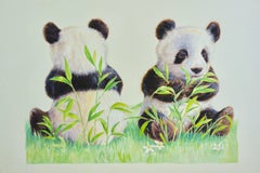 Panda Bears, seated whilst eating