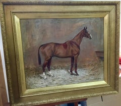 English Chestnut Hunter in a stable called Mint Sauce