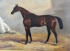 Nutwith, St Leger Winner 1843, English horse in a stable