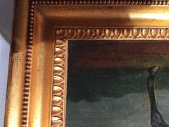 Portrait of an English Horse "Peily", a dark bay hunter tethered to a fence.