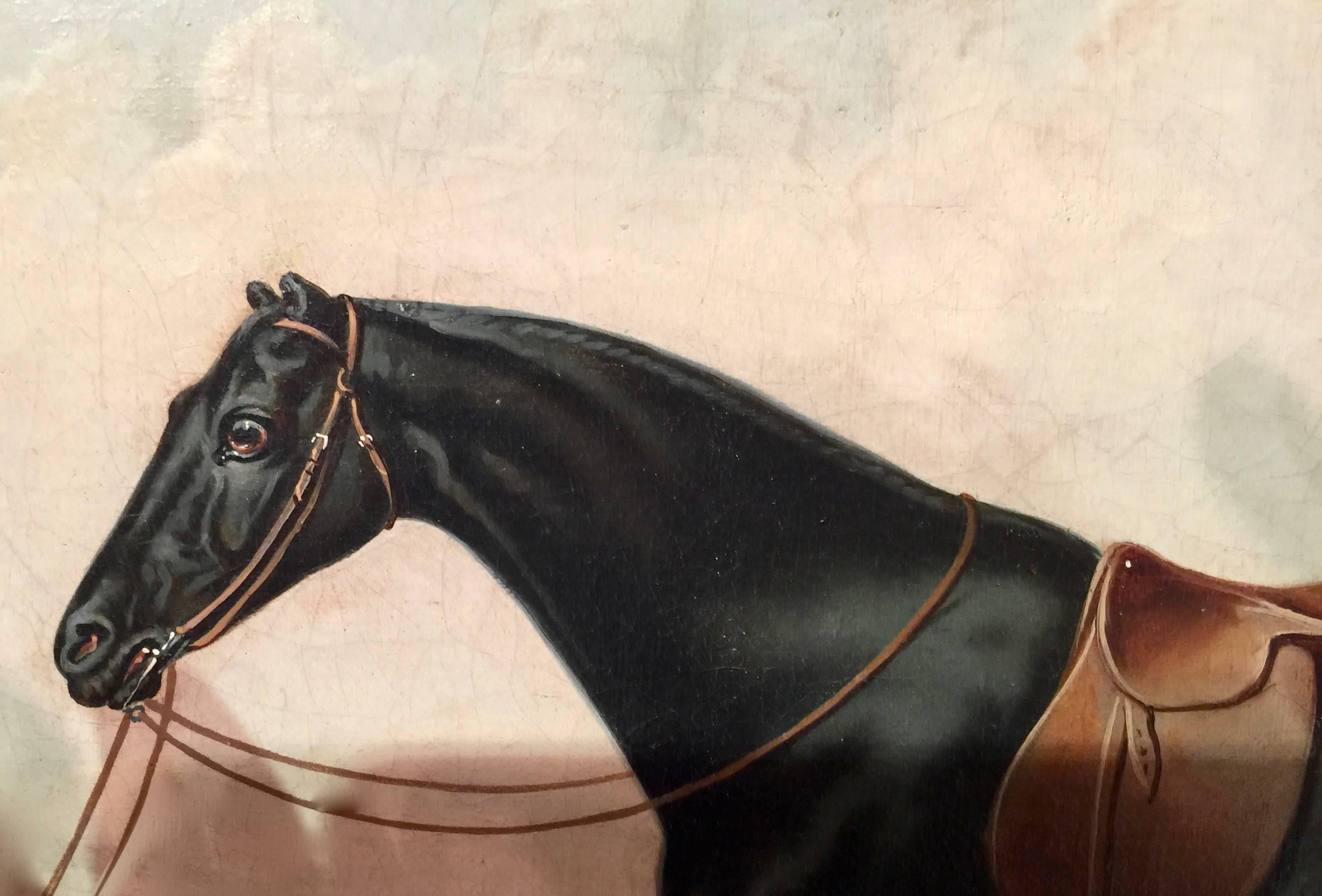 Portrait of an English Horse 