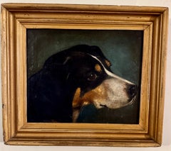 English Victorian portrait of a dogs head, a hound or another breed