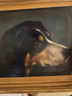 English Victorian portrait of a dogs head, a hound or another breed