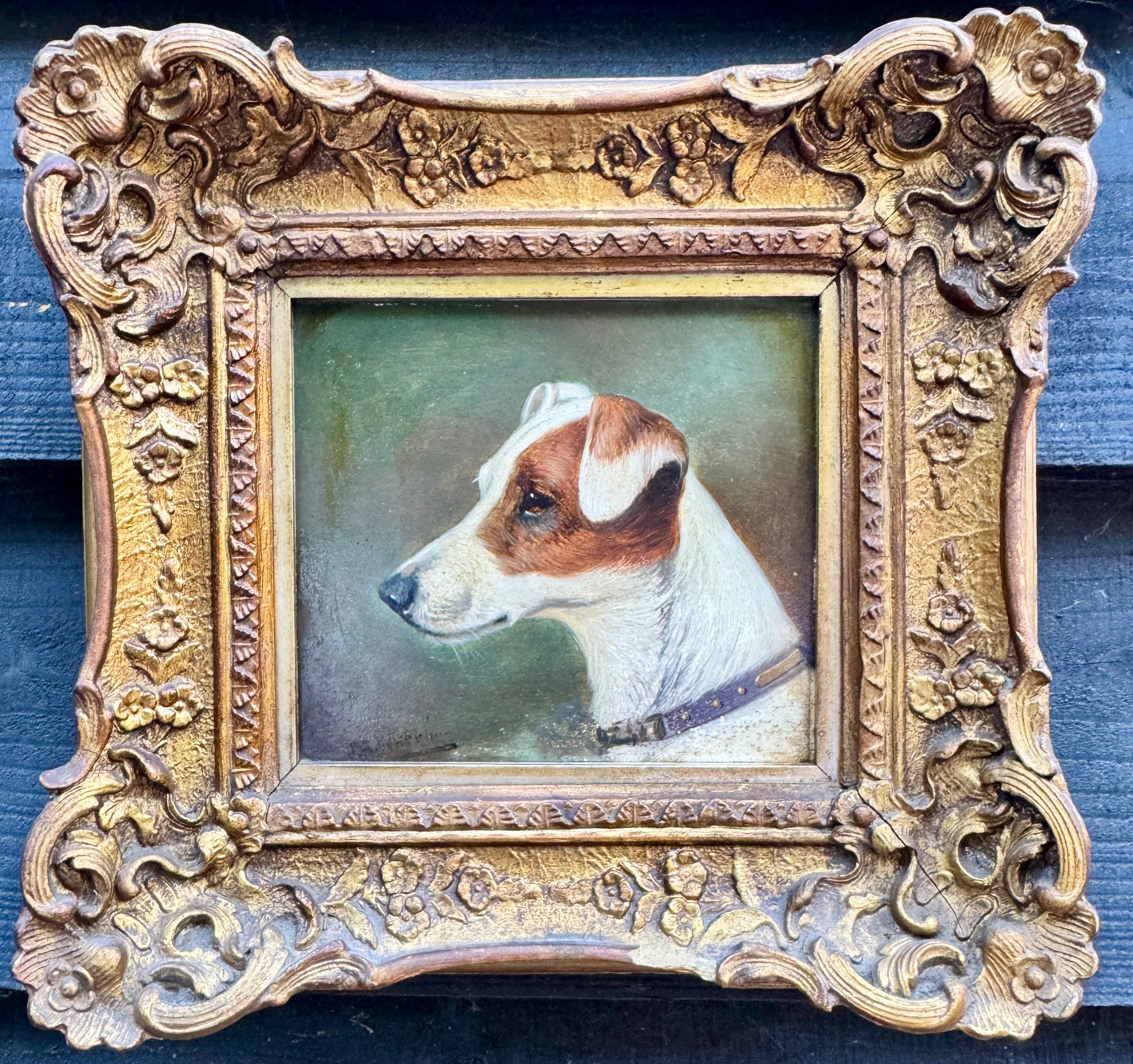 English Portrait of a Jack Russell dogs head Fine quality, signed circa 1900