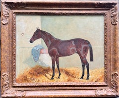 Portrait du cheval de course Ypsilanti, vainqueur du Grand Jubilee, dans une écurie