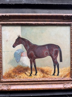 Portrait du cheval de course Ypsilanti, vainqueur du Grand Jubilee, dans une écurie