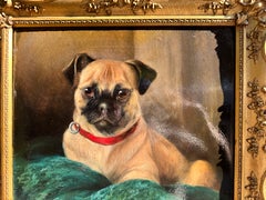 19th century English portrait of a Pug dog or Puppy on a green cushion