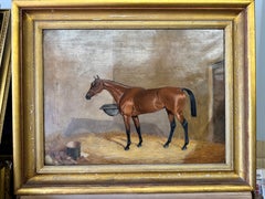 Portrait of a horse Cherrio, Bay Racehorse in a stable early 20th century