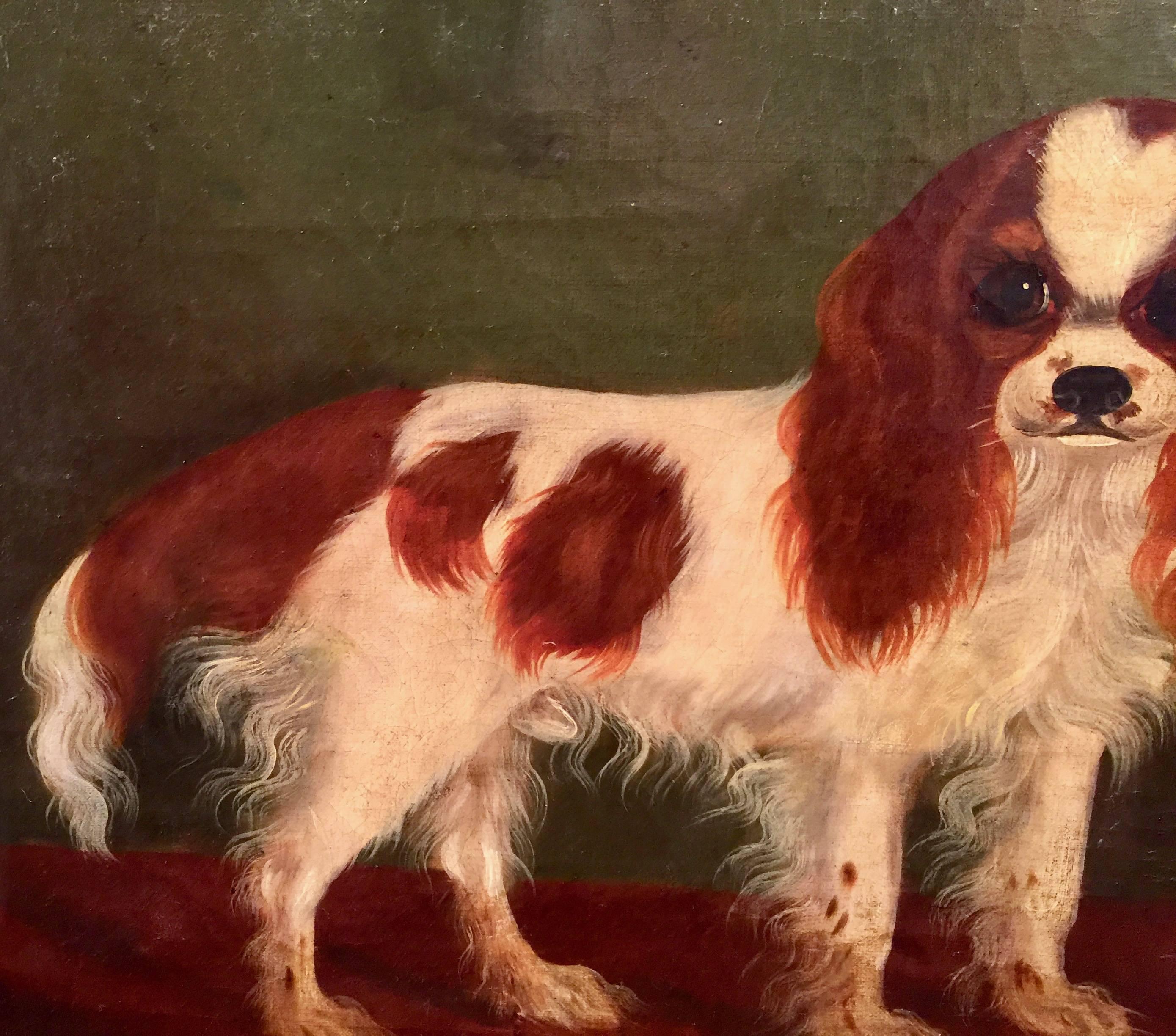 painting around the 16 century of cavalier king charles spaniel