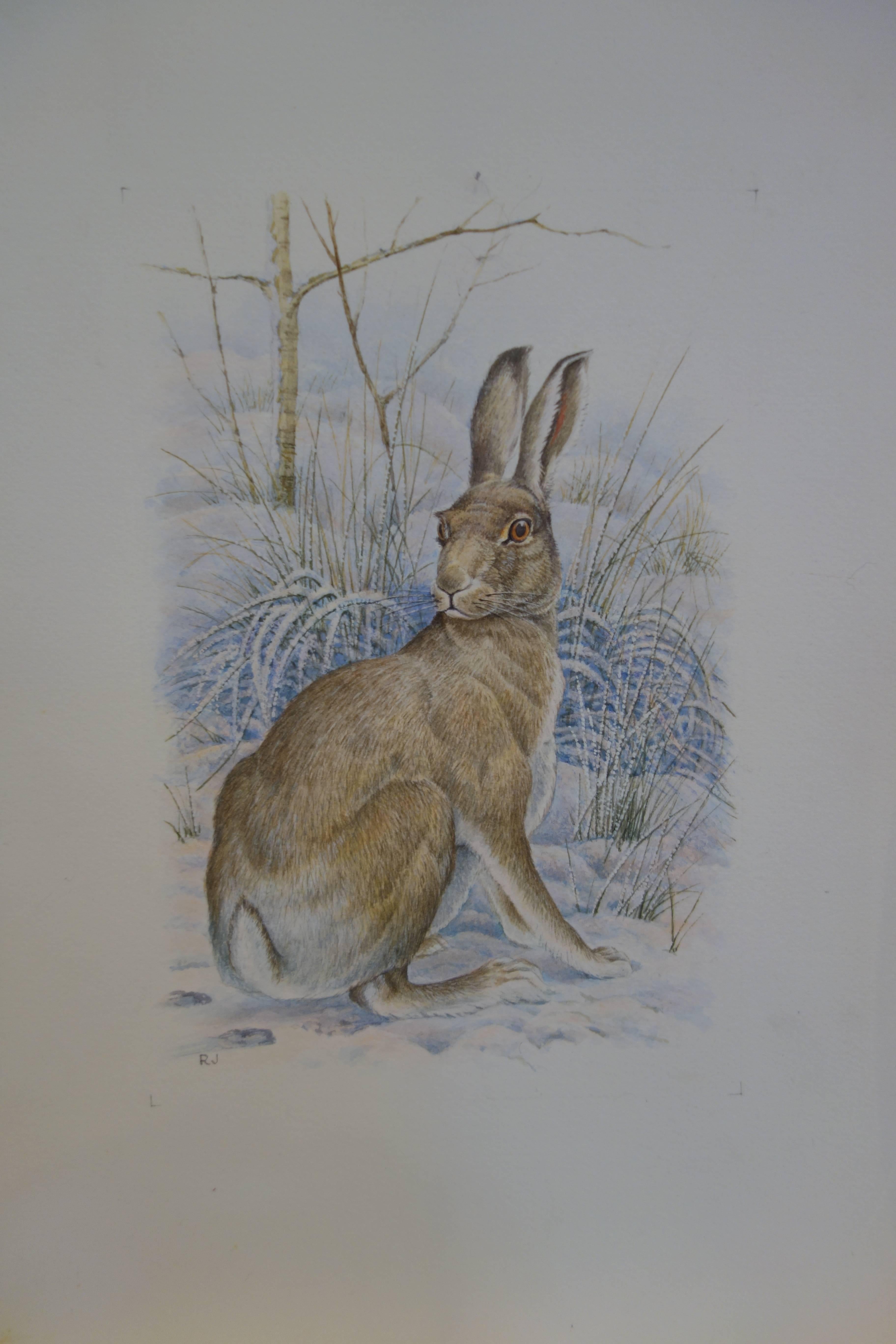 Ron Jobson Figurative Art - Study of An English/British Hare in a landscape