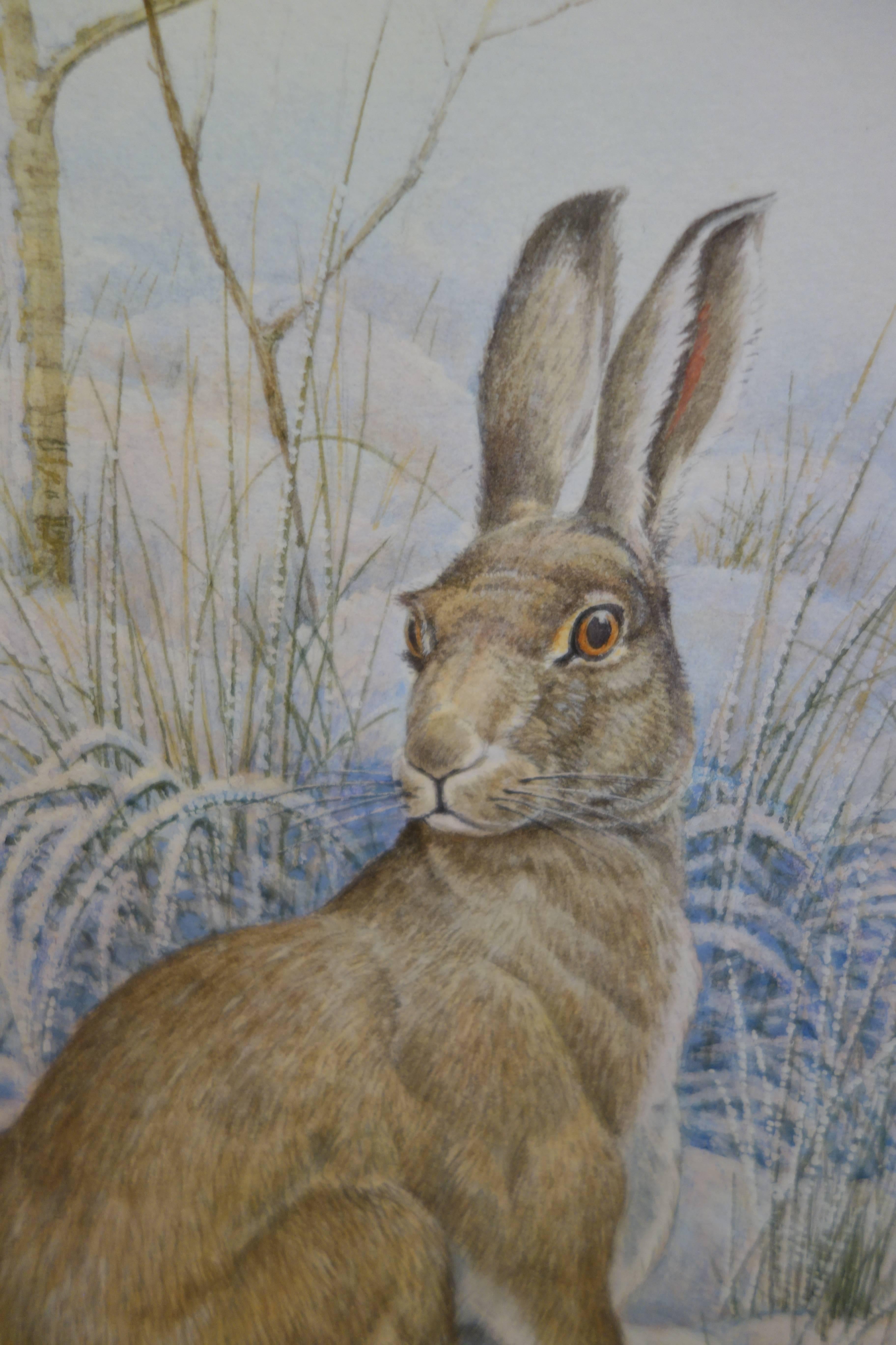 Study of An English/British Hare in a landscape - Art by Ron Jobson