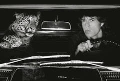 Mick Jagger in Car with Leopard, Los Angeles