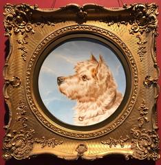 Head Portrait of Victorian Terrier 