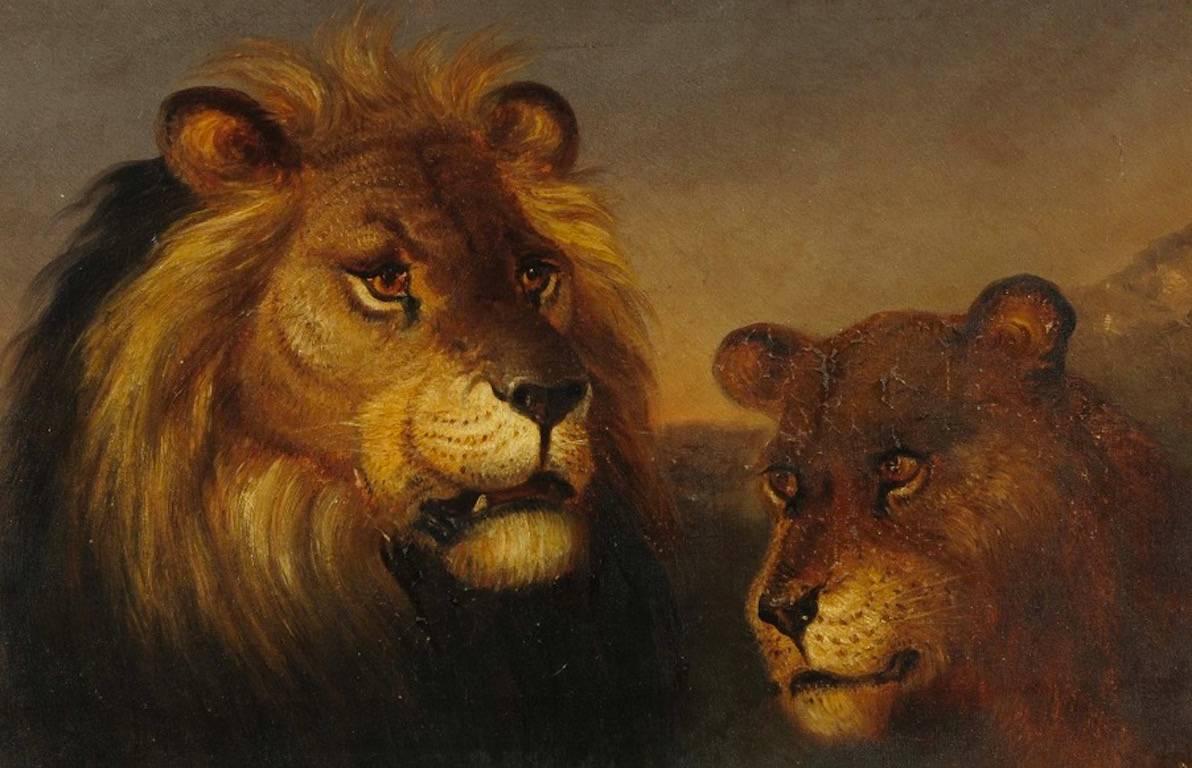 Unknown Landscape Painting - Lion & Lioness in Sunset Landscape - Early Safari painting