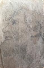 Head Portrait of a Bearded Man - Old Master Drawing