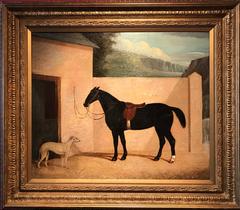 Antique Large 1830's English Sporting Oil Painting Chestnut Hunter & Lurcher