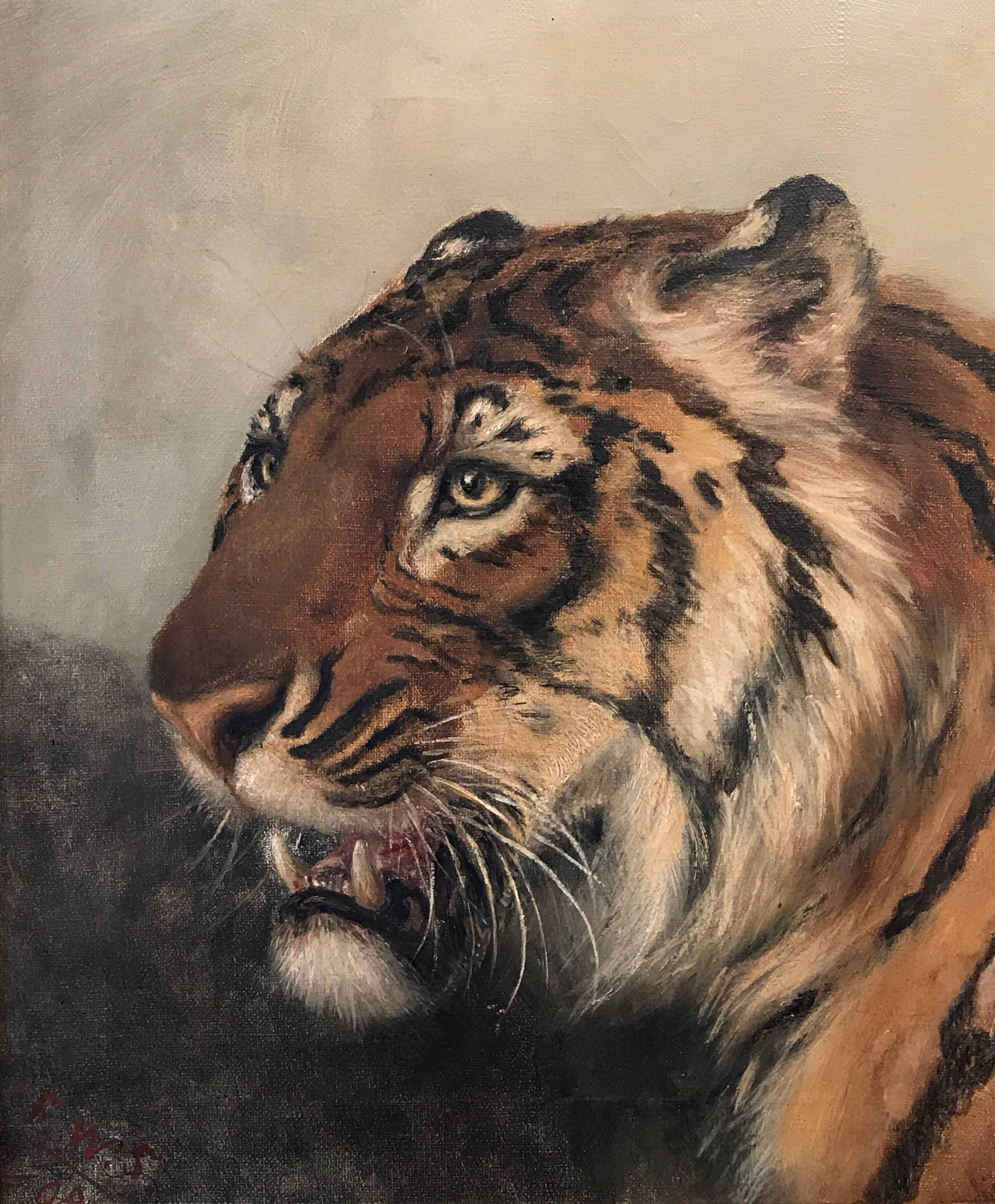 Unknown Animal Painting - Original Antique English Oil Painting Head Portrait of Tiger