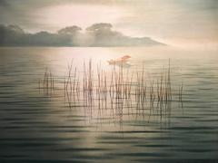 Chinese Fishing Boat on Calm Tranquil Lake Waters Signed Oil Painting