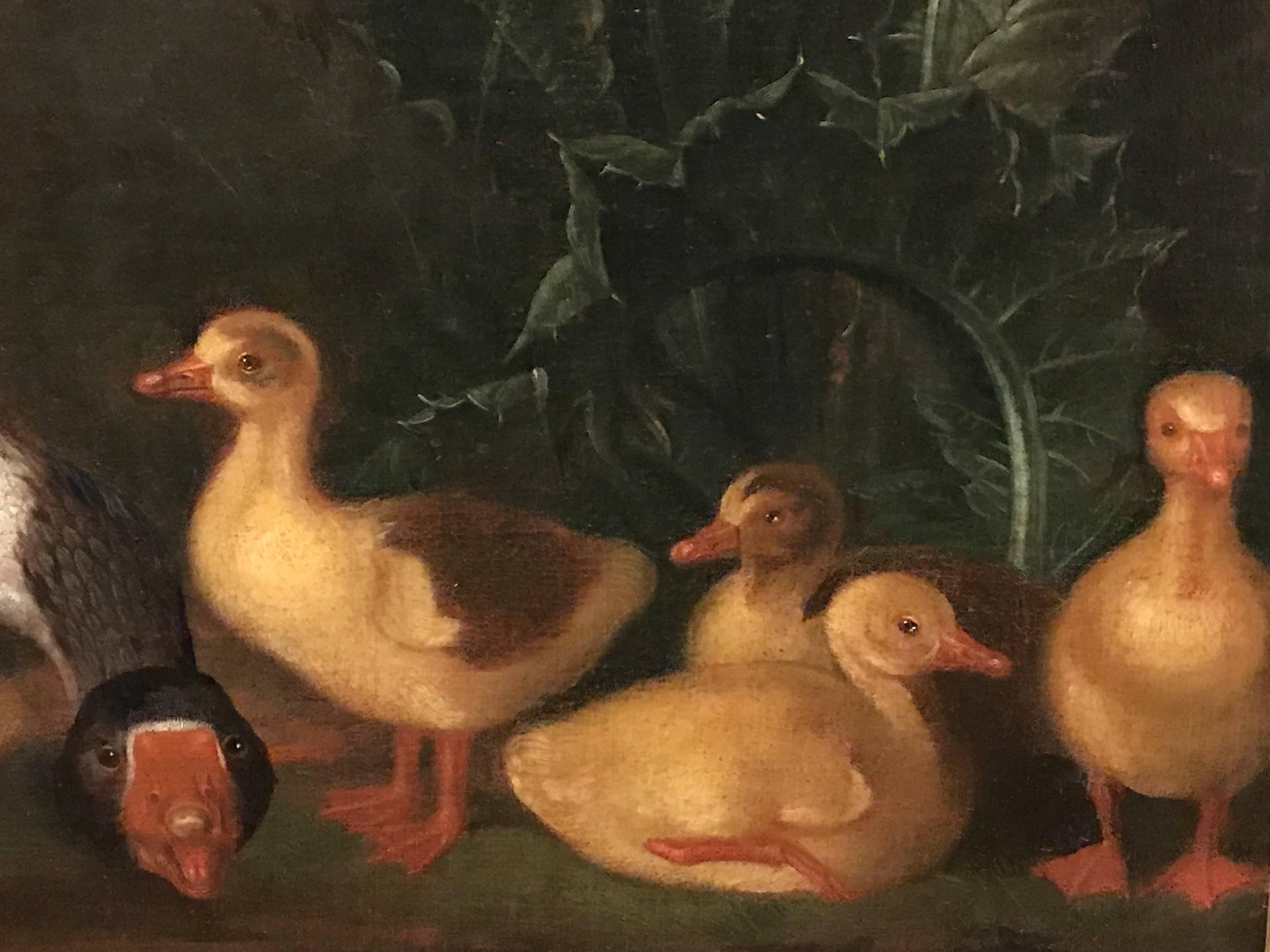 jakob geese