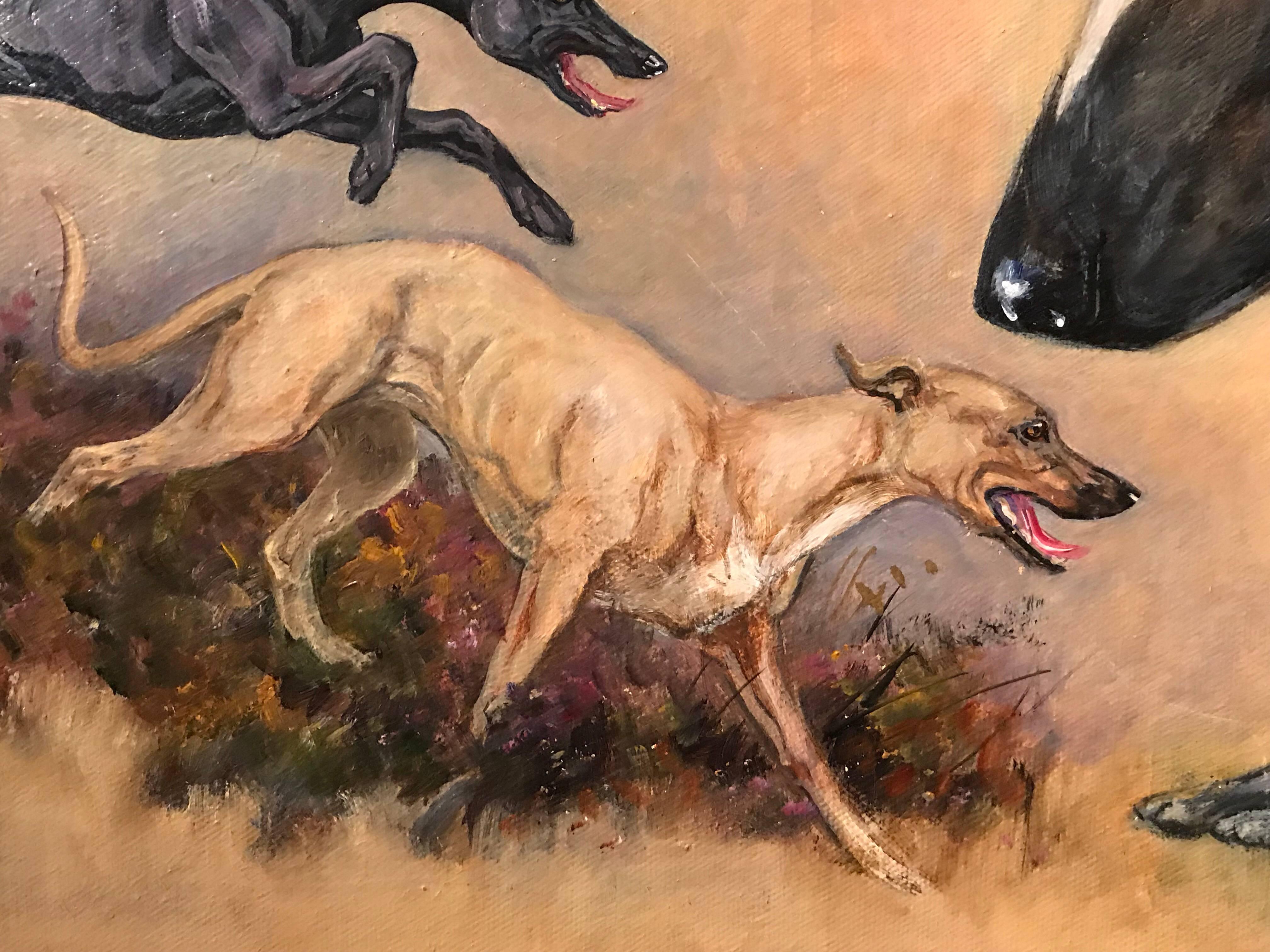 lurcher dog for sale