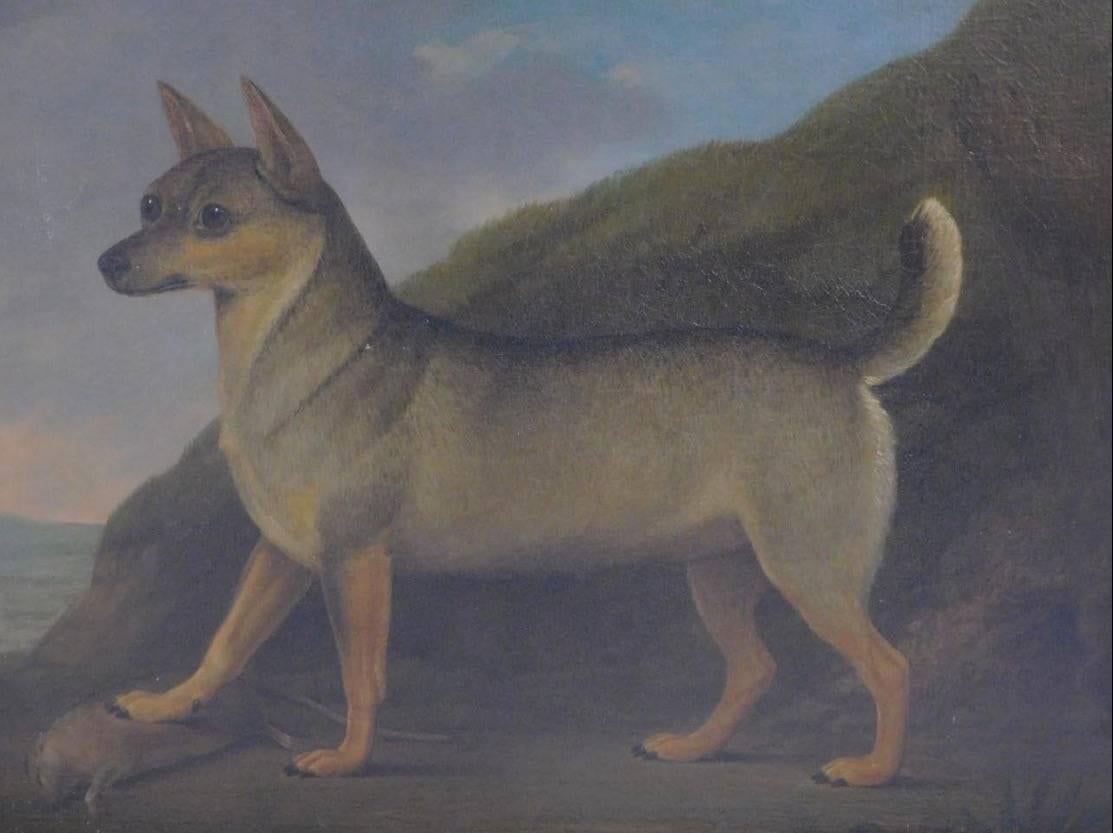 Unknown Animal Painting - Portrait of Rare Breed Dog, Antique English Oil Painting on canvas
