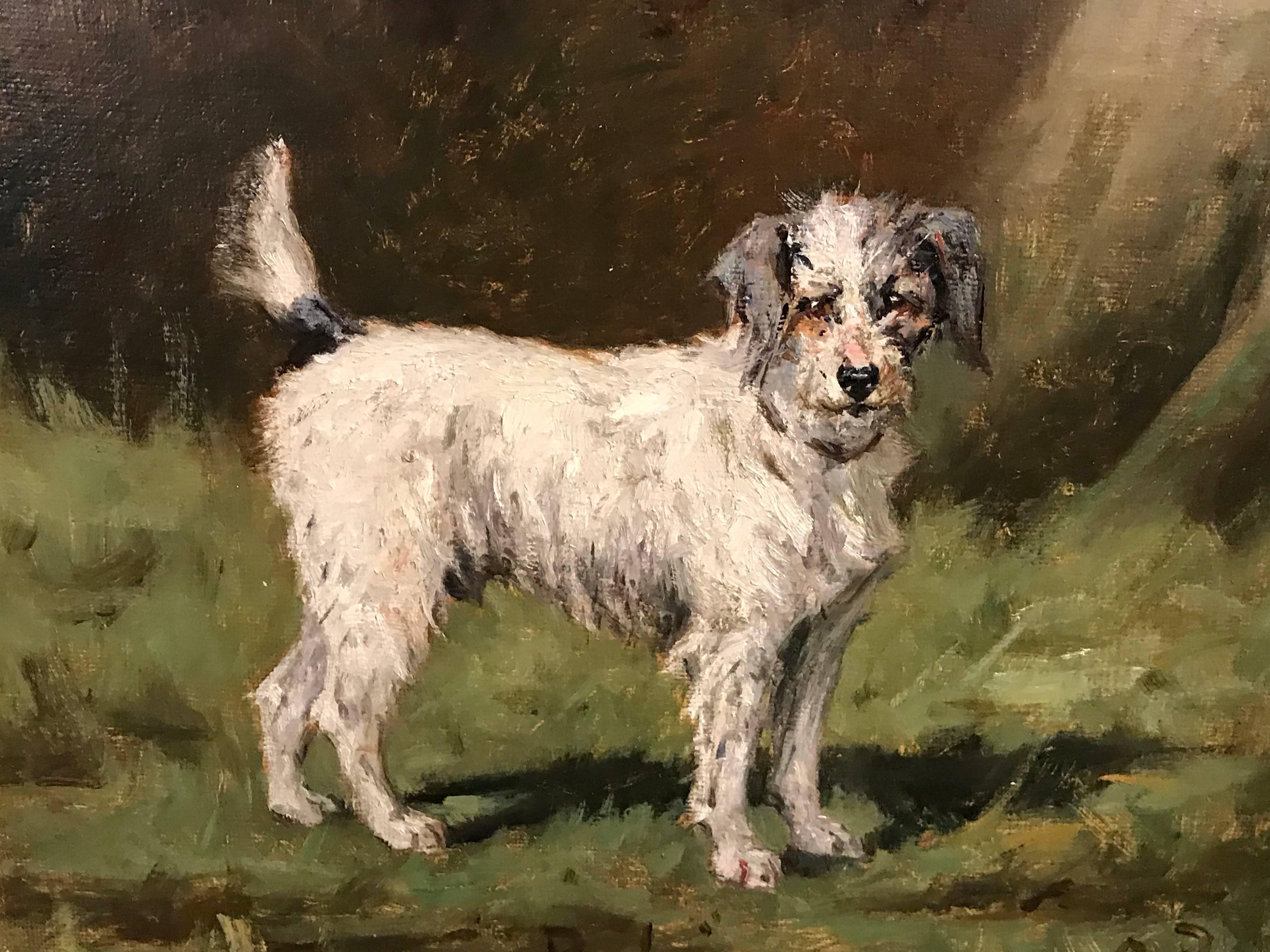 pimlico terrier