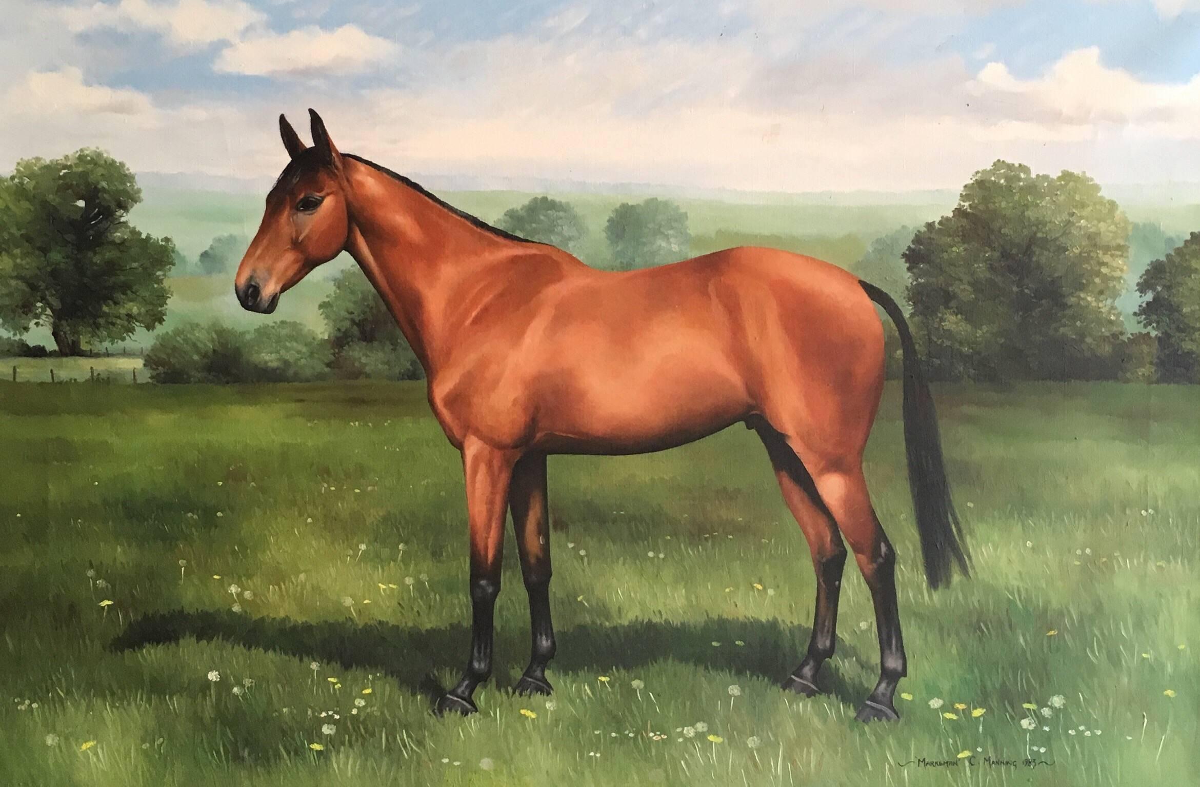 Caroline Manning  Landscape Painting - Fine Portrait of a Horse in Landscape, Signed English Oil Painting 