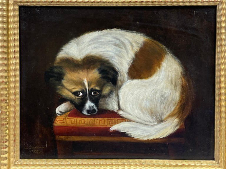 1830's French Dog Painting - Signed Oil of Dog resting on Cushion - Gilt Framed For Sale 1