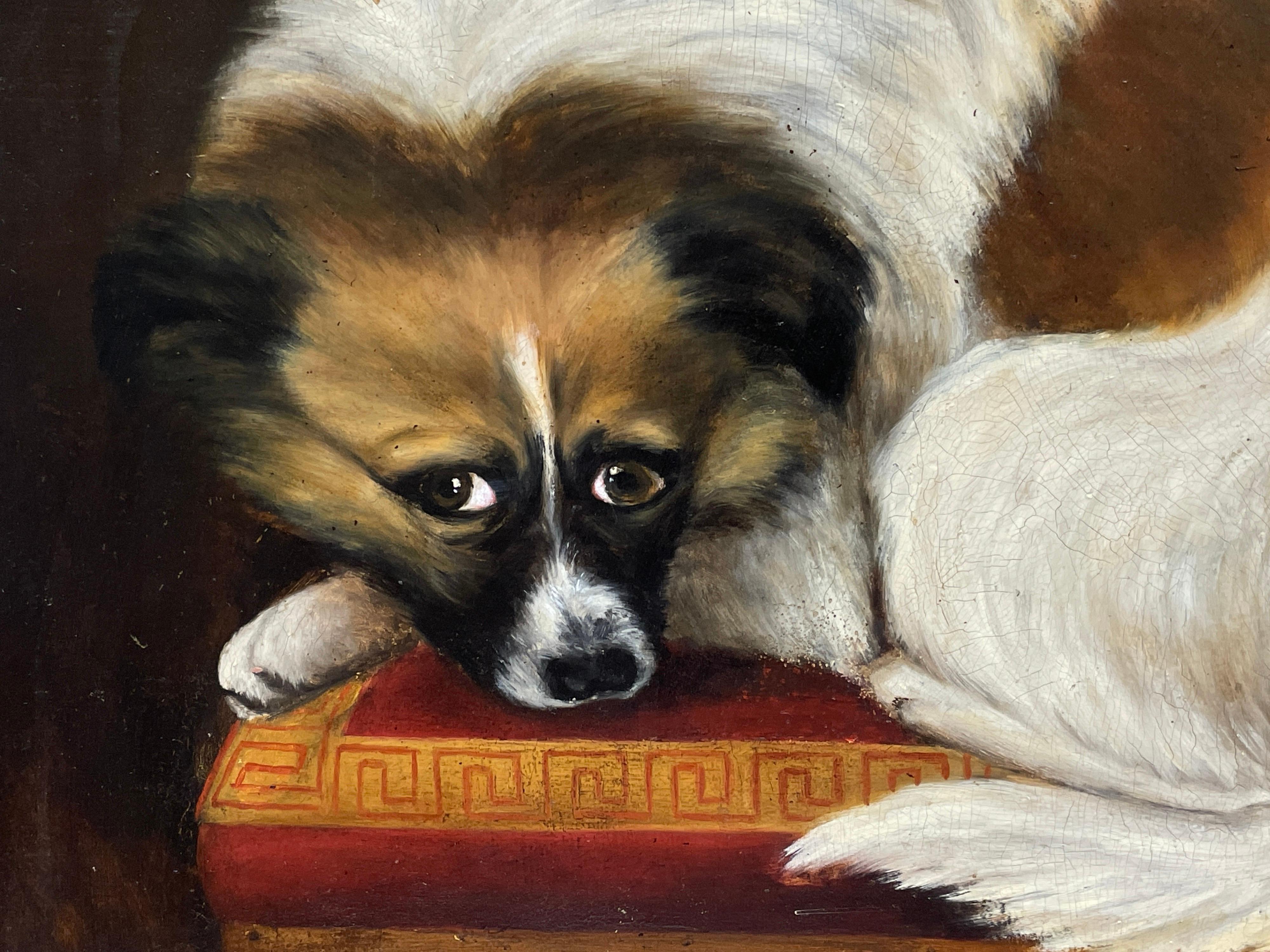 1830's French Dog Painting - Signed Oil of Dog resting on Cushion - Gilt Framed - Brown Interior Painting by French 1830's